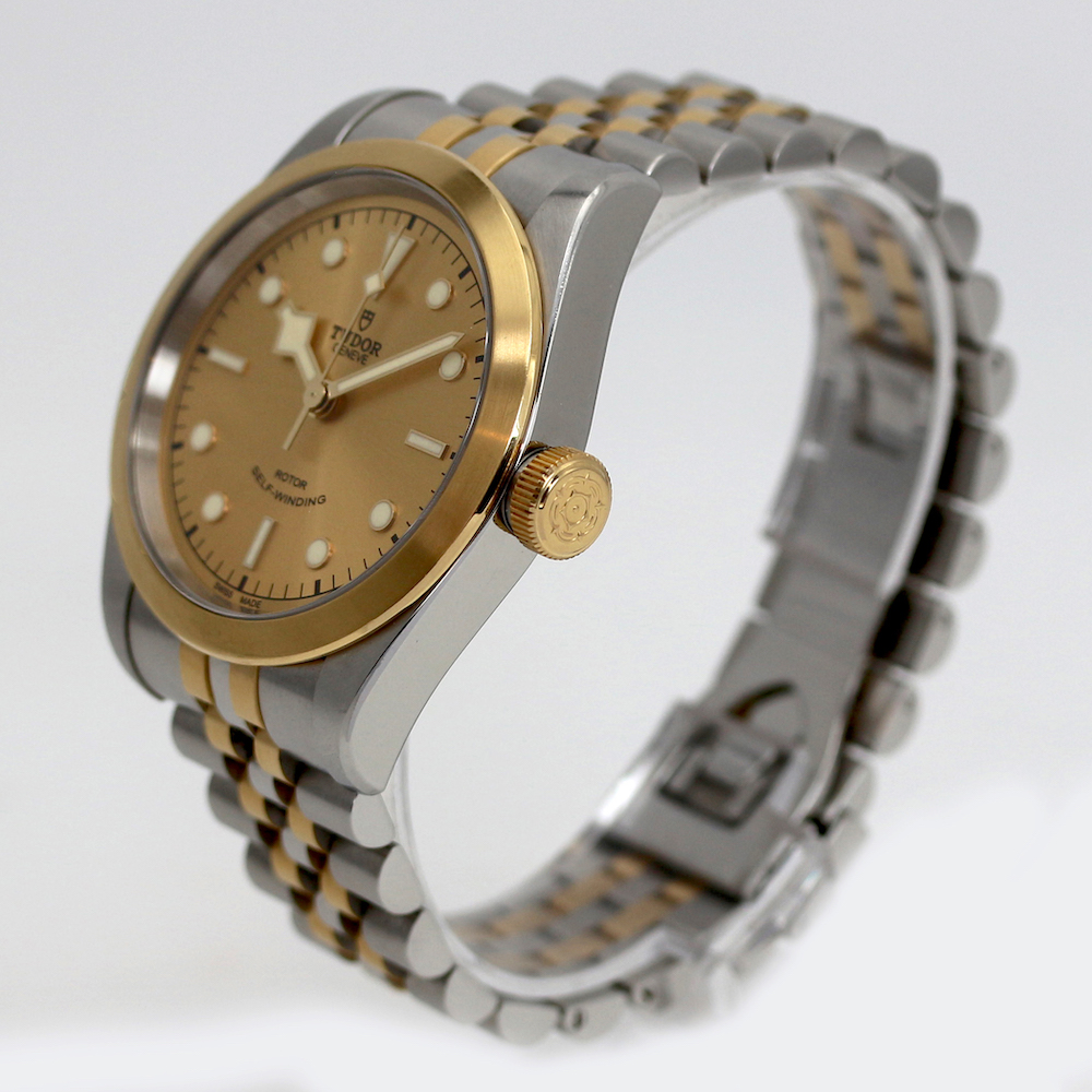 Tudor Black Bay 41 S&G